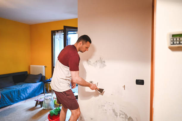 Best Professional Mold Removal  in Loxley, AL